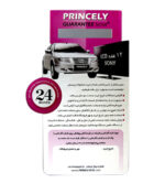 سشوار حرفه ای پرنسلی مدل PR250AT - تصویر 2