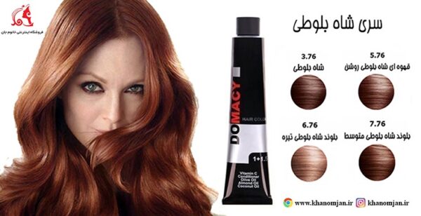 رنگ مو دوماسی سری شاه بلوطی - تصویر 5